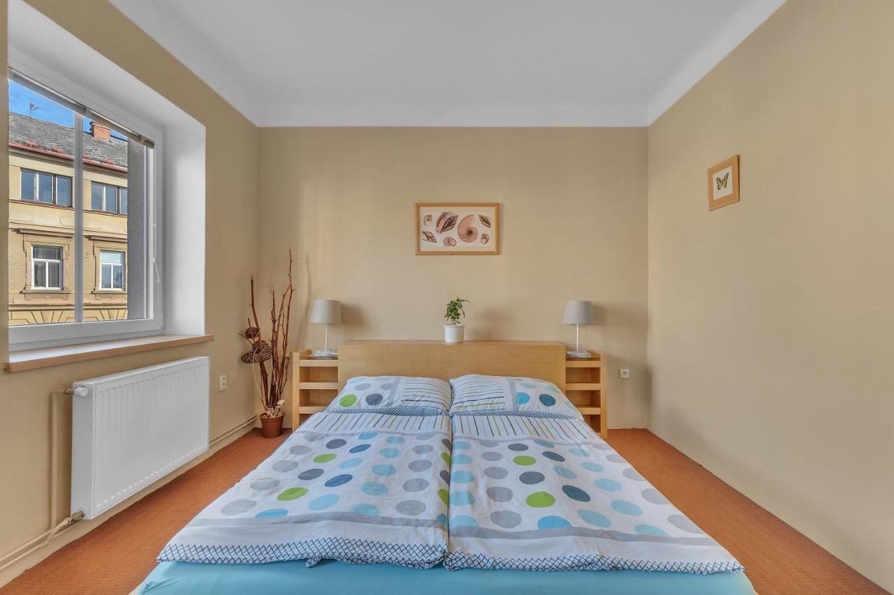 Apartman U Javorky Lázně Bělohrad المظهر الخارجي الصورة